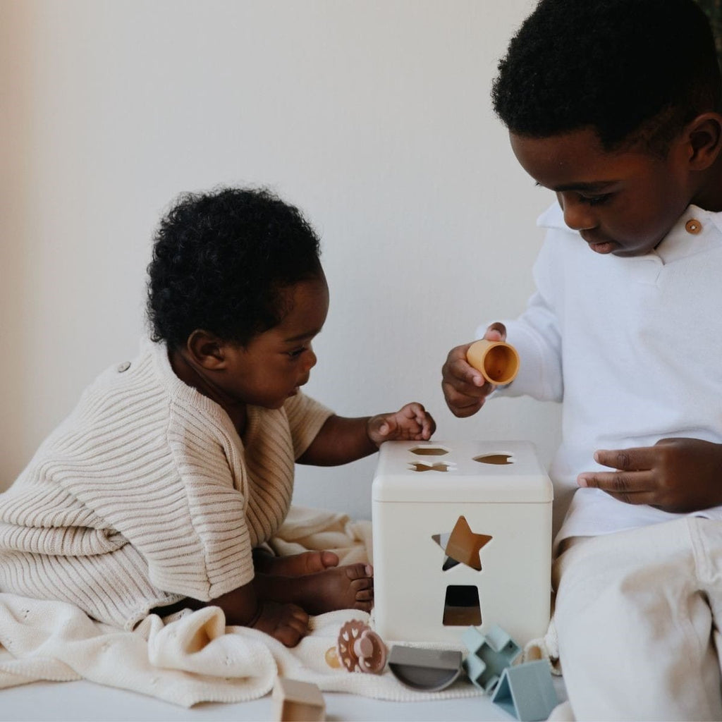 Vormenstoof Shape Soring Box Original - Sorteer - en stapelspeelgoed Mushie - In den Olifant