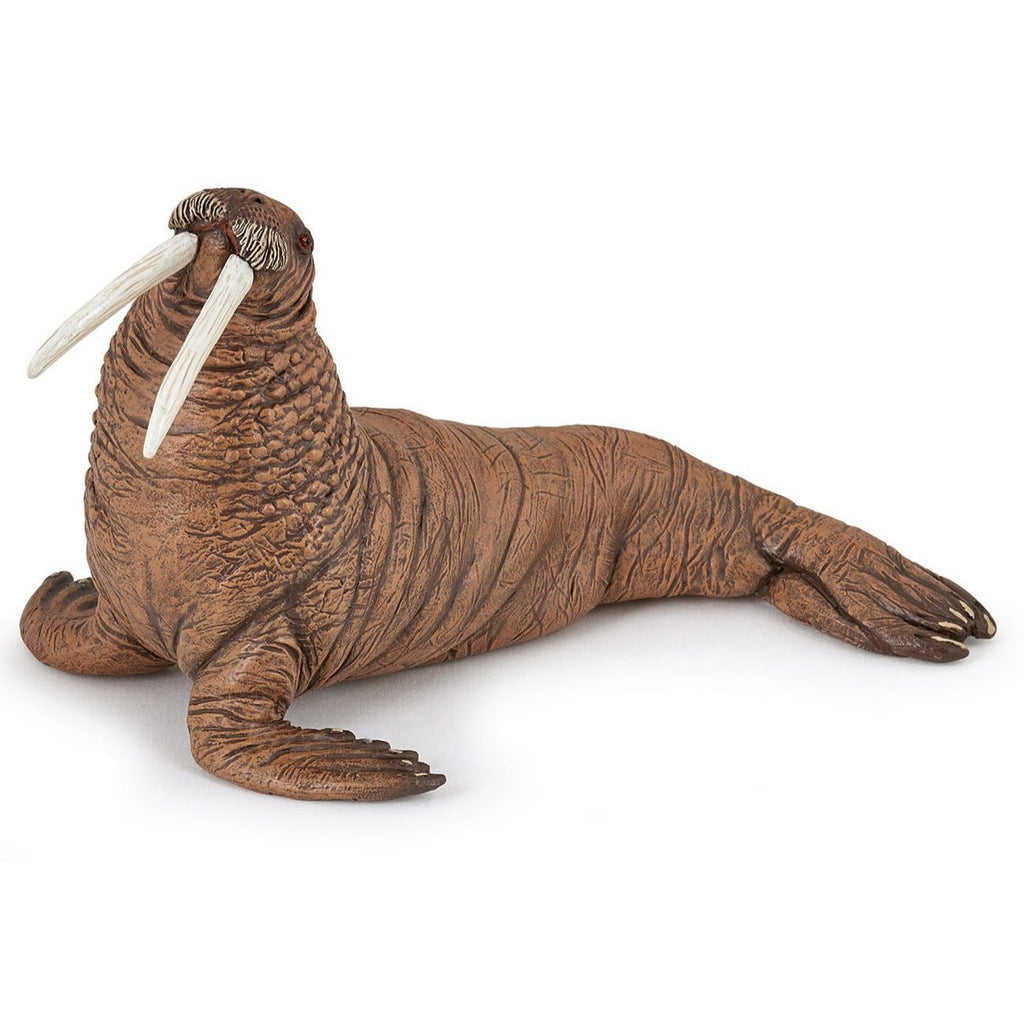 Walrus - Speeldieren Papo - In den Olifant