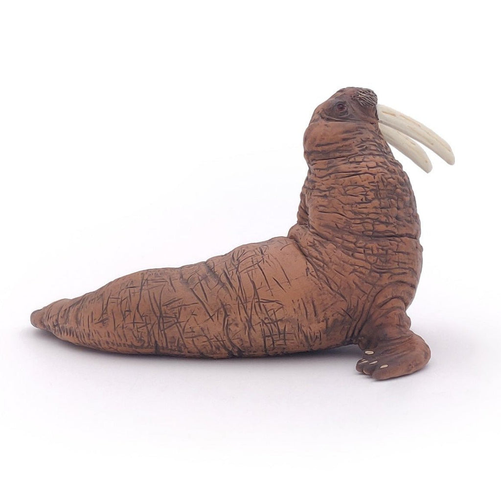 Walrus - Speeldieren Papo - In den Olifant