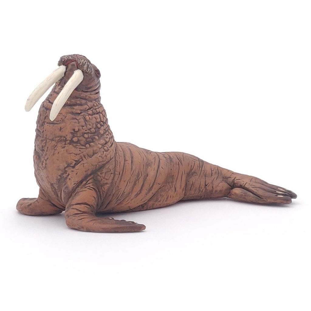 Walrus - Speeldieren Papo - In den Olifant