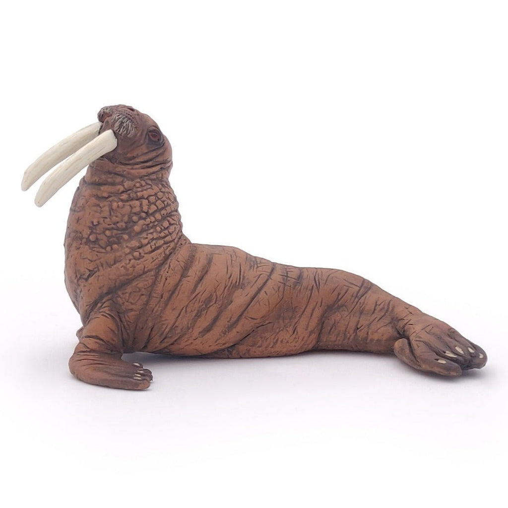 Walrus - Speeldieren Papo - In den Olifant