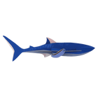 Wild Animals - Shark - Muurdecoratie Studio Roof - In den Olifant