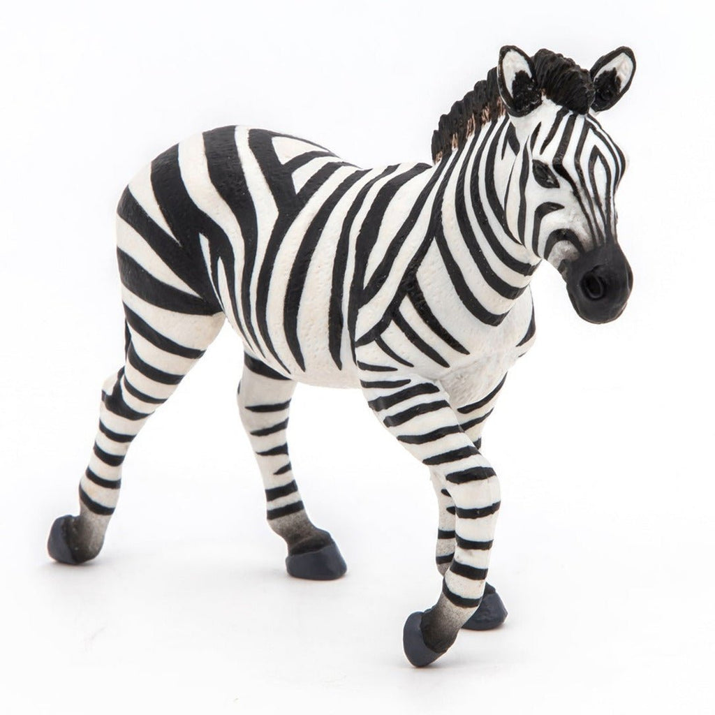 Zebra Mannetje - Speelfiguren Papo - In den Olifant