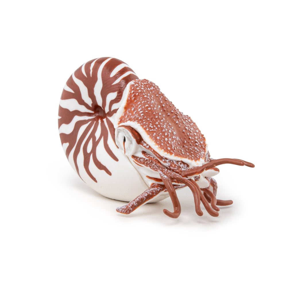 Zeedier Nautilus - Speelfiguren Papo - In den Olifant