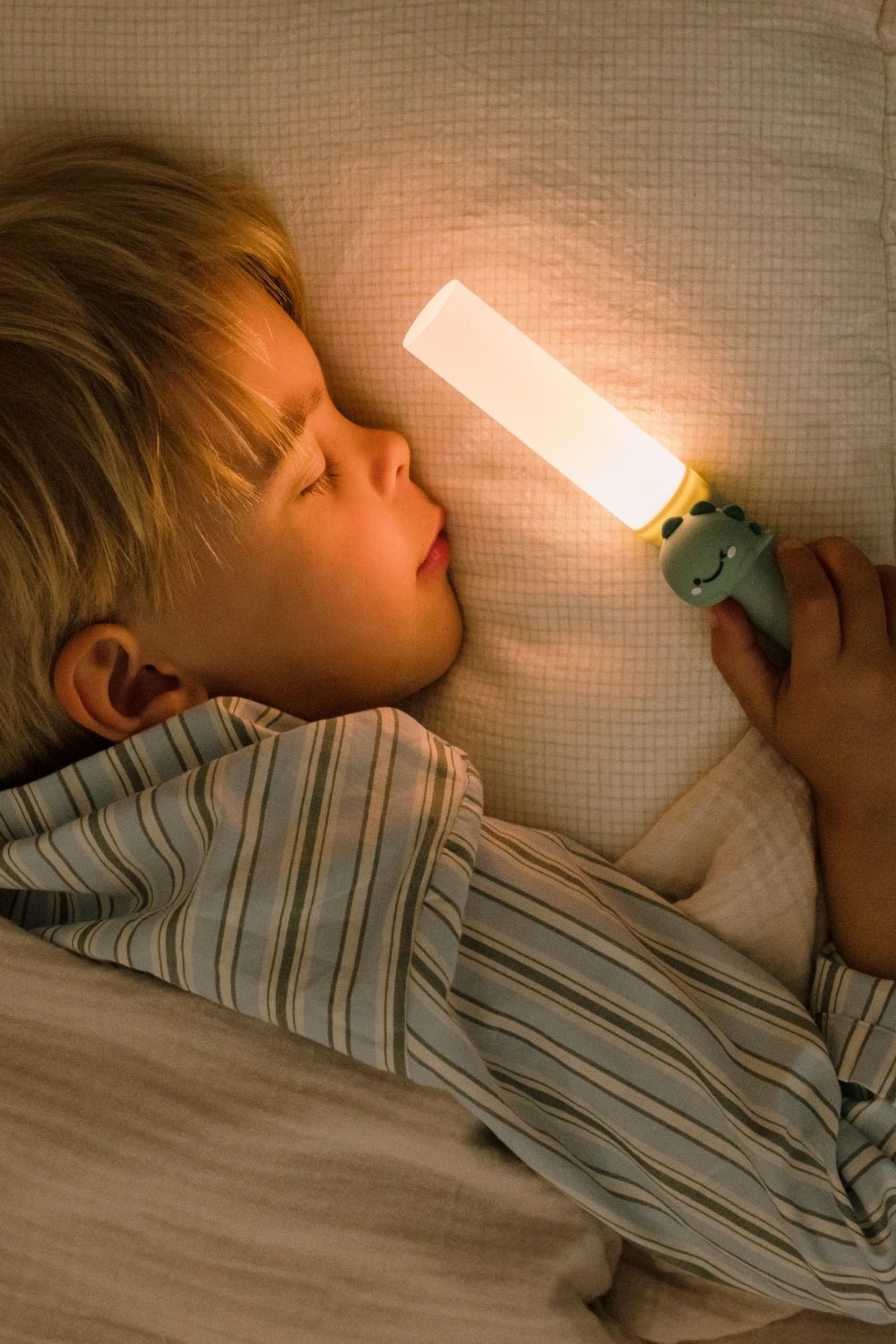 Zoo light dino - Nachtlampjes The Zoo Family - In den Olifant