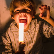 Zoo light fox - Nachtlampjes The Zoo Family - In den Olifant