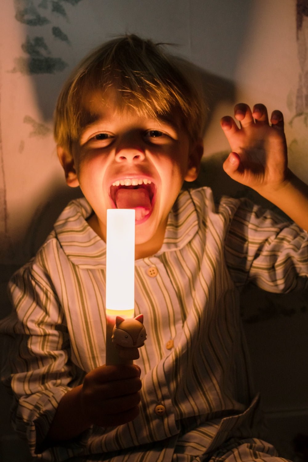 Zoo light fox - Nachtlampjes The Zoo Family - In den Olifant