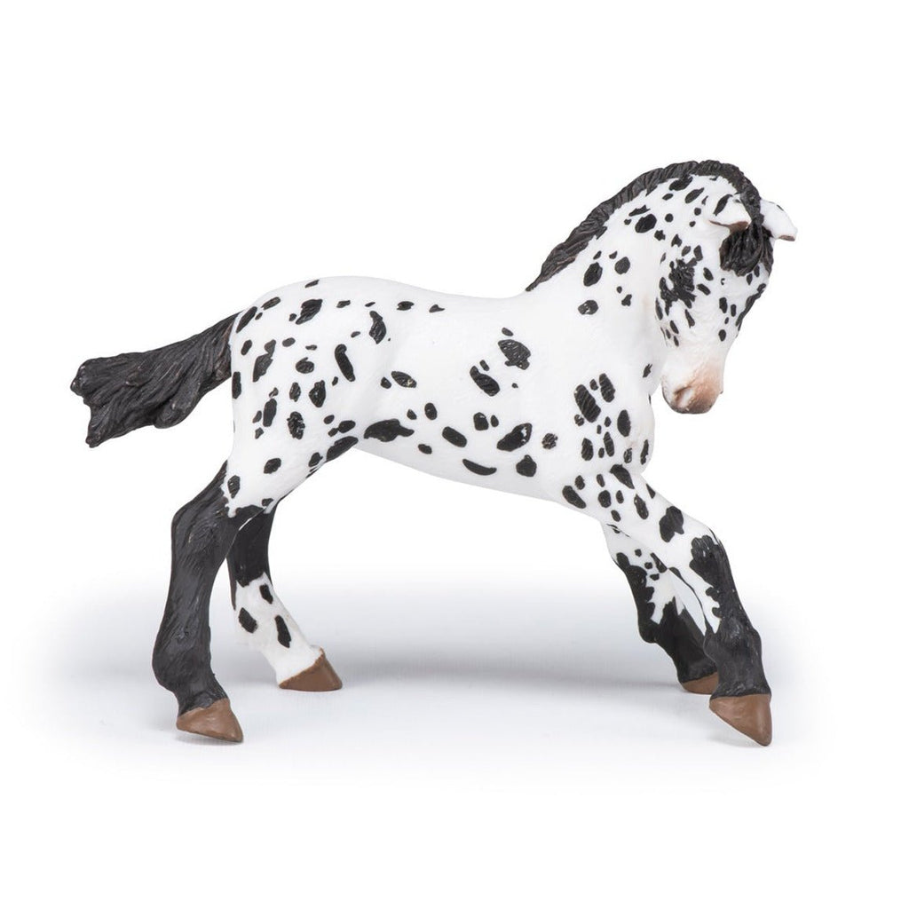 Zwarte Appeloosa Veulen - Speeldieren Papo - In den Olifant