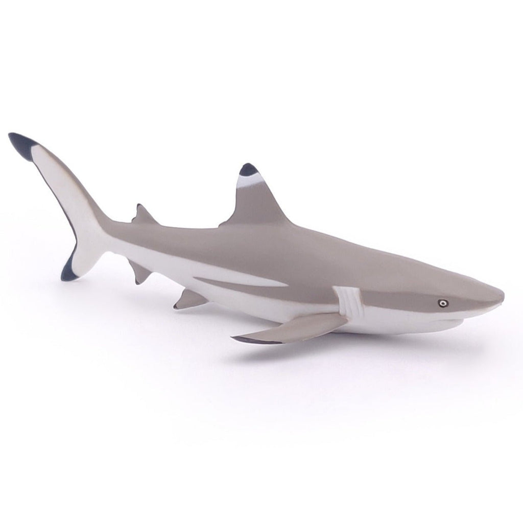 Zwartpuntrifhaai - Speeldieren Papo - In den Olifant