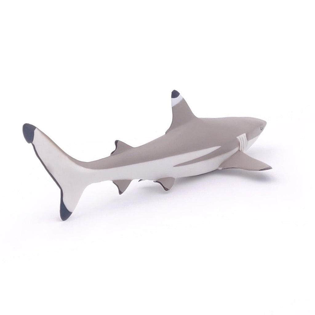 Zwartpuntrifhaai - Speeldieren Papo - In den Olifant