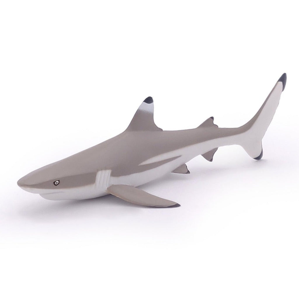 Zwartpuntrifhaai - Speeldieren Papo - In den Olifant